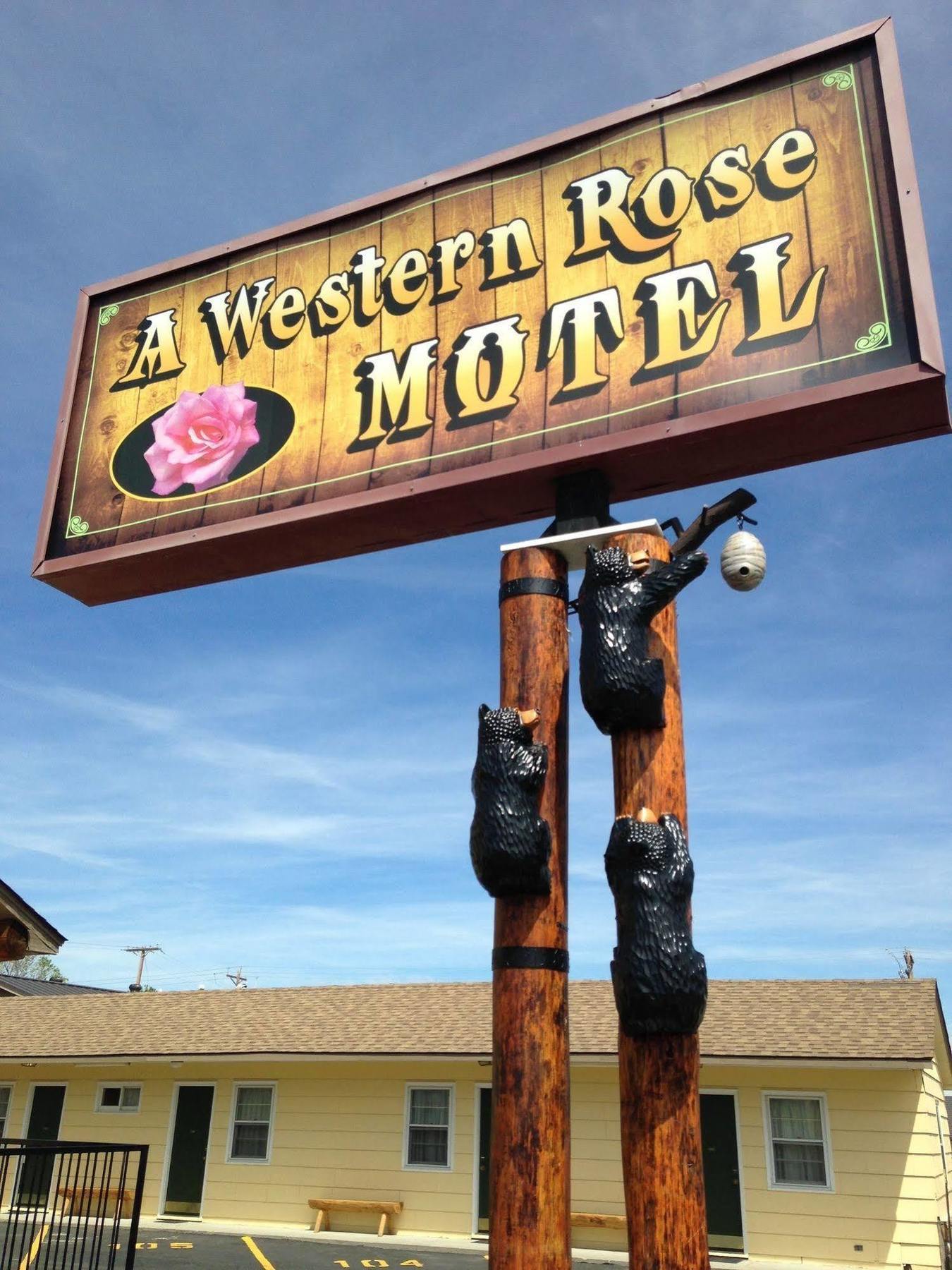 A Western Rose Cody Esterno foto